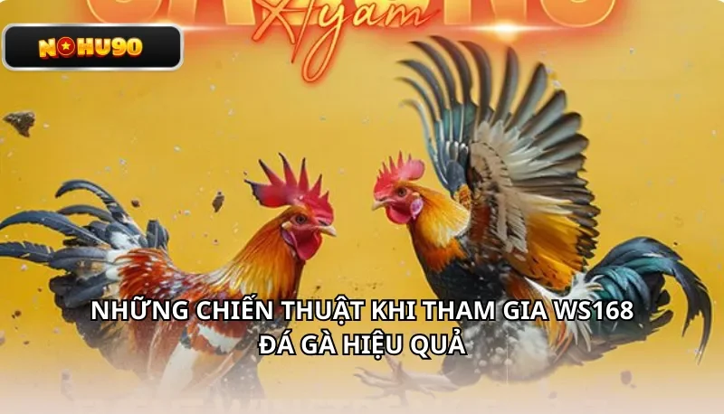 Các Hình Thức Đá Gà Được Cung Cấp Tại WS168 Nohu90