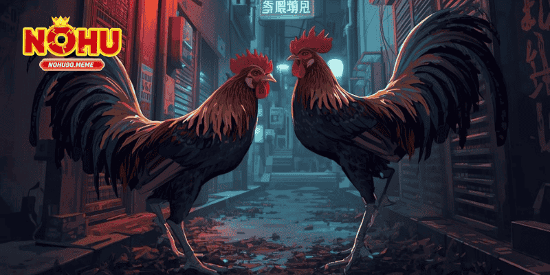 Giới thiệu về Đá gà WS168 tại NOHU90